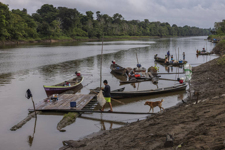 Conflitos entre indígenas ganham força em terras não demarcadas