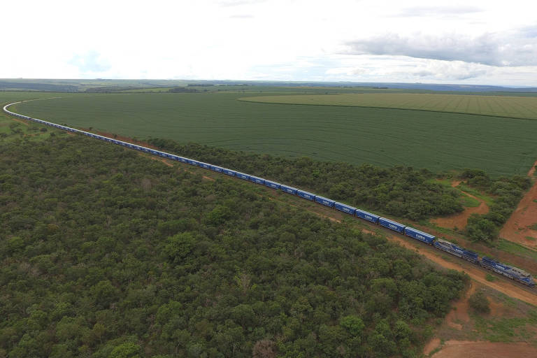 Estados do agronegócio apostam em ferrovias para melhorar logística