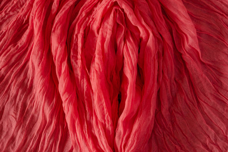 Vulva