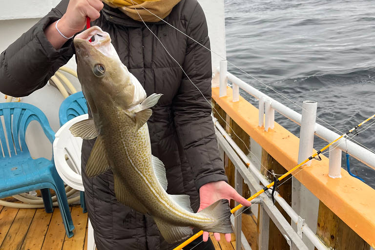 A jornada do bacalhau da Noruega até o Brasil