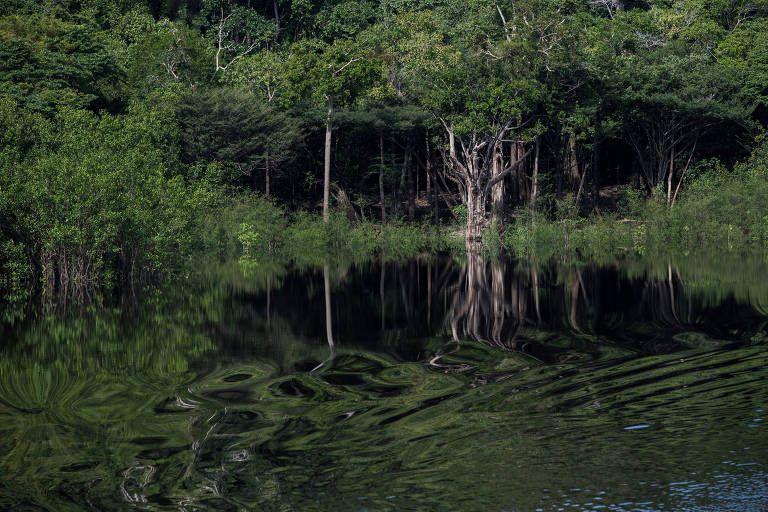 Barcos levam turista ao coração da Amazônia e comunidades ribeirinhas