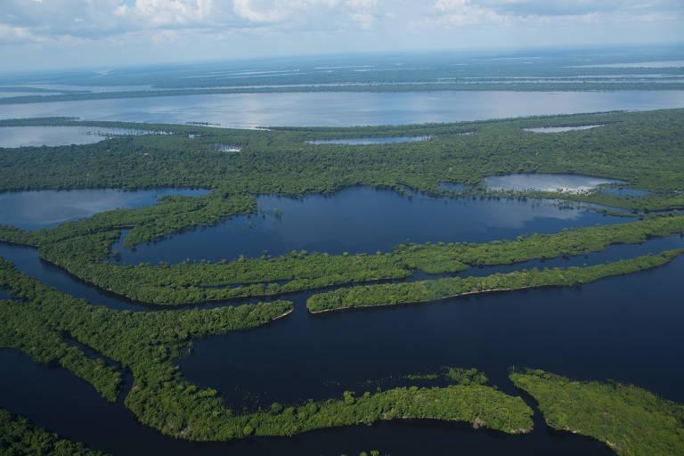 Projetos na Amazônia miram educação ambiental para a manutenção do turismo
