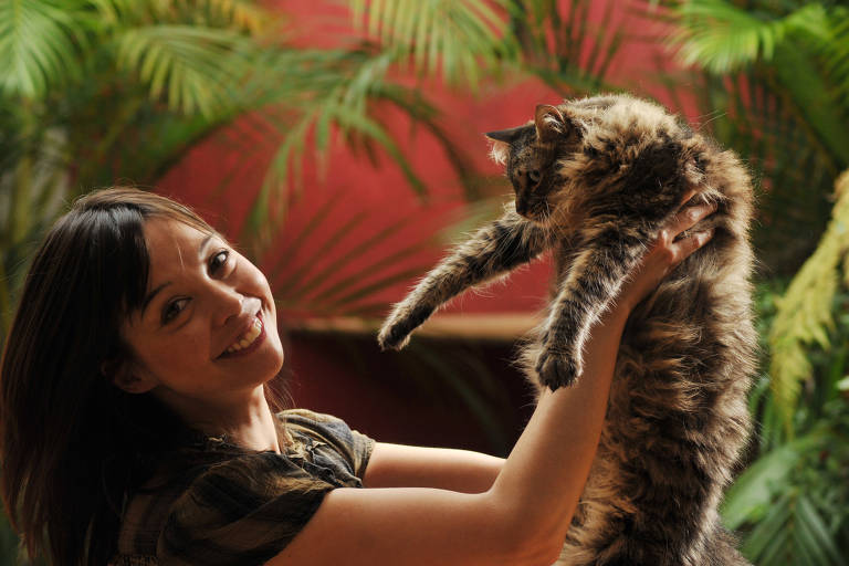 Adote Um Gatinho completa 20 anos com festa neste domingo