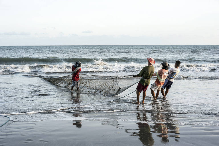 quatro homens usando uma rede de pesca na beira do mar