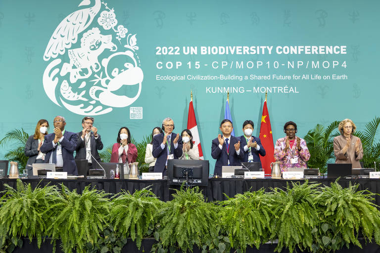 Após duas semanas de negociações, a COP15 da biodiversidade da ONU adotou o novo marco global da biodiversidade na madrugada desta segunda-feira (19).