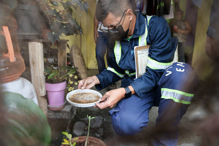 Dengue é sazonal; combate ao mosquito, não