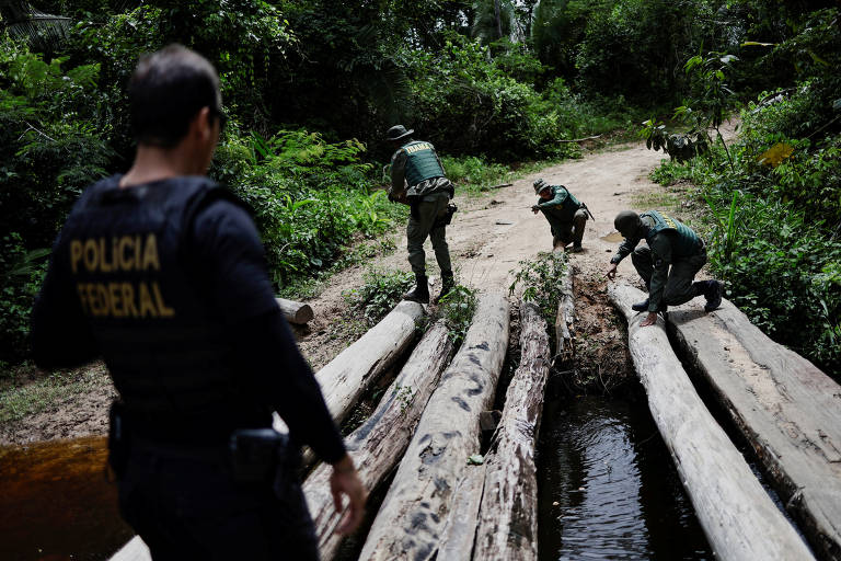 Ibama faz operação contra desmatamento no Pará