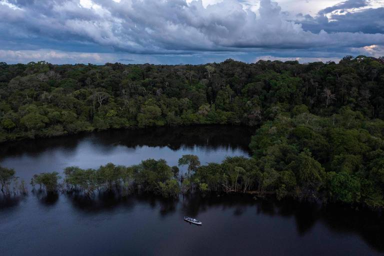 Perdas nos rios voadores amazônicos podem extinguir espécies da mata atlântica