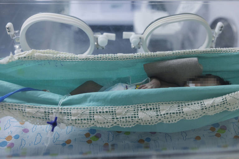 Hospital Materno Infantil atendeu 13 gestantes yanomamis com malária em 2022