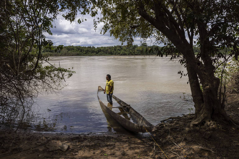 Garimpo no território yanomami leva invasores e malária à terra de macuxis