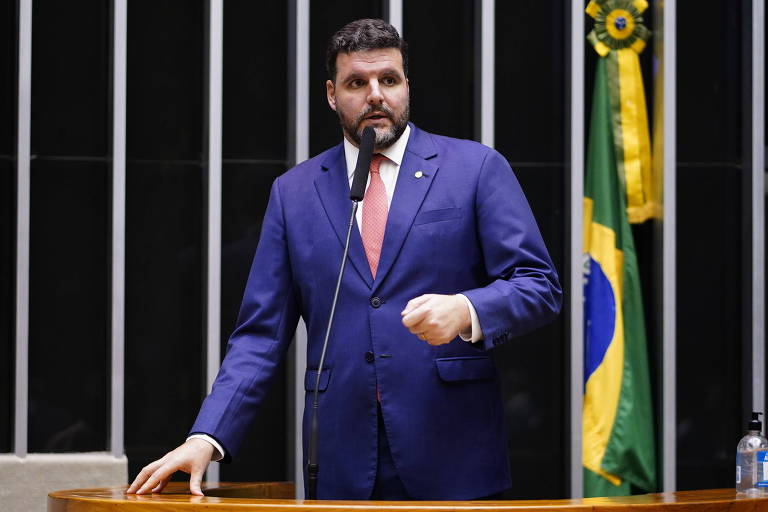 Deputado discursa no plenário