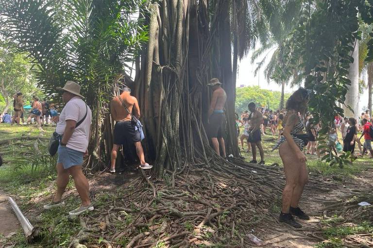 Árvores e muros viram banheiro de foliões durante passagem de blocos no Rio