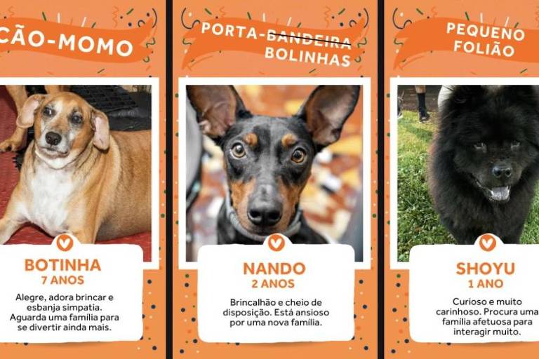 CãoDulas: Cães pegam bolinhas no Rio Open e alertam para adoção