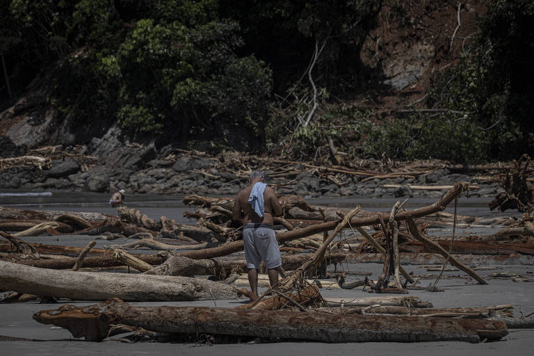 As pernas peludas da mudança climática