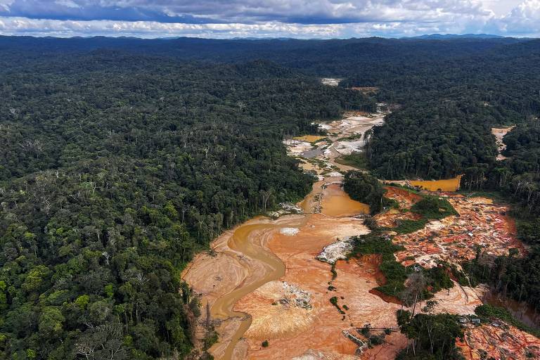 Garimpo na Terra Indígena Yanomami, em Roraima