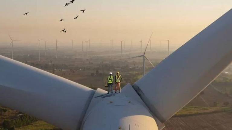 Parque de energia eólica