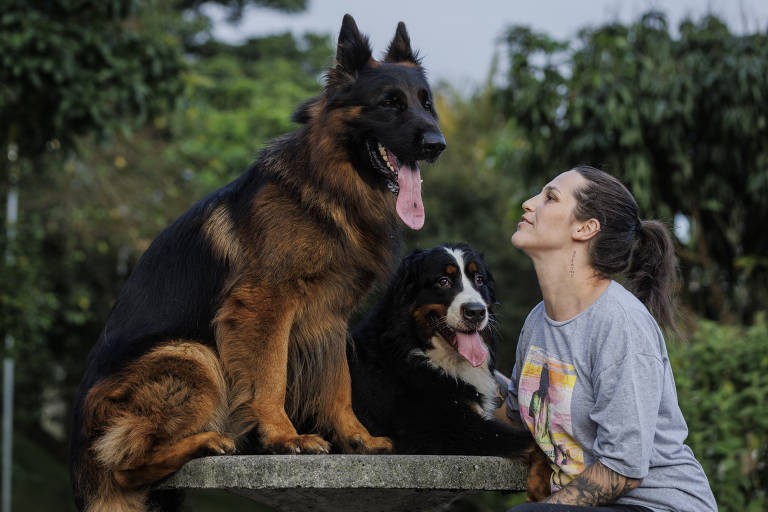 Alimentação natural para pets