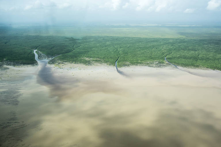 Imagem aérea da foz do rio Amazonas, onde canais que saem da floresta desaguam no mar de água barrenta.