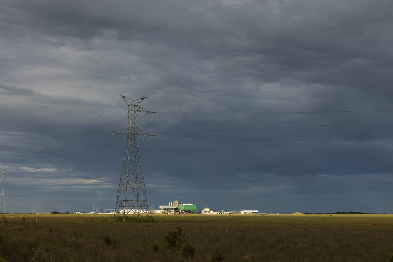 Imagem mostra linha de transmissão em meio a um campo