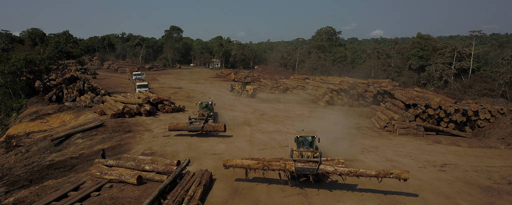 Máquinas carregam toras de madeira em um pátio de terra cercado de áreas verdes; à frente há pilhas de toras