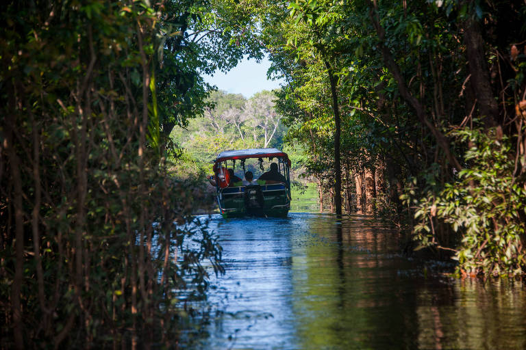 Voadeira navegando pelas trilhas aquáticas do Rio Jaú, no Parque Nacional do Jaú (AM)