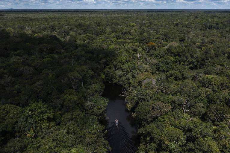 Tendência na arqueologia, IA passa a ser utilizada para desvendar sítios arqueológicos