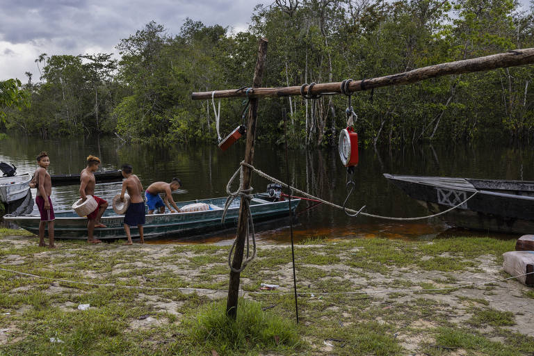 A exploração dos yanomamis piaçabeiros do médio rio Negro