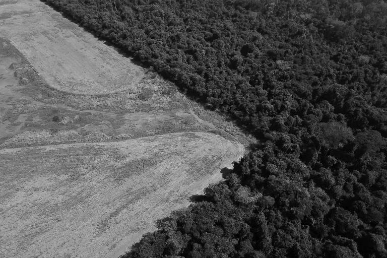 Cerrado sob pressão