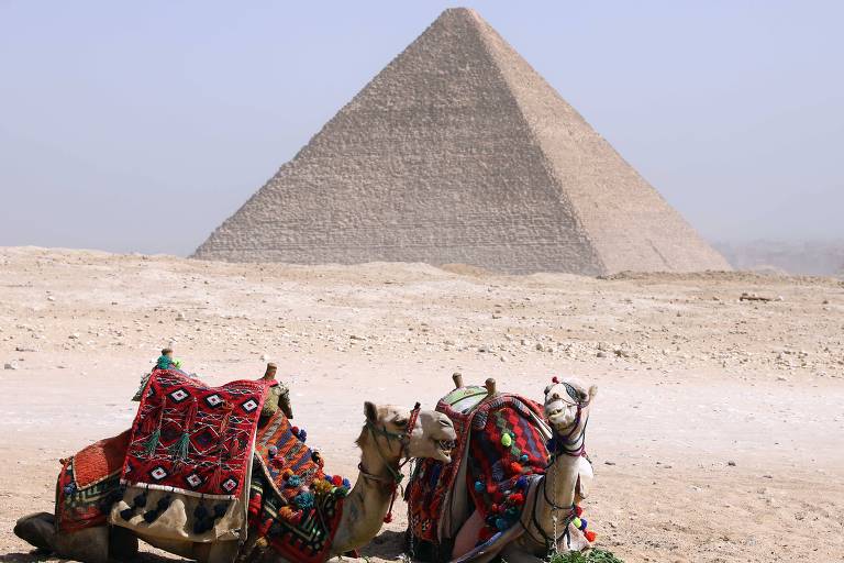 Camelos descansam próximo à Grande Pirâmide de Gize, em Cairo, no Egito