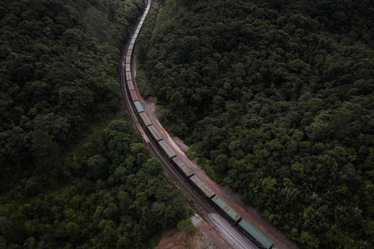 Leilão da Ferrogrão pode acontecer ainda em 2025, diz diretor da ANTT