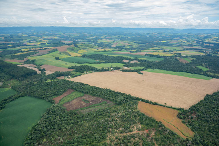 foto aérea mostra áreas desmatadas sem vegetação com poucas áreas com vegetação mais alta