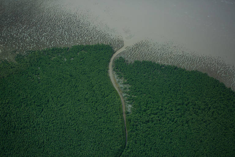 Foz do Amazonas: entenda a disputa pela exploração de petróleo na região