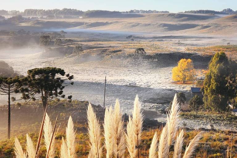 São Joaquim, na serra catarinense, registra temperaturas negativas em alguns dias do ano, quando a cidade amanhece coberta por uma fina camada de neblina e gelo