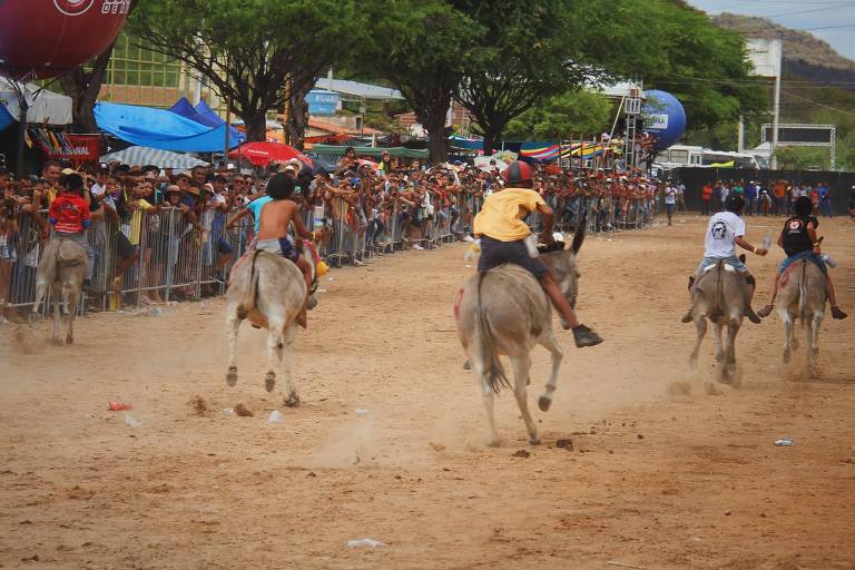 Corrida de jegues com crianças atrai turistas em Pernambuco