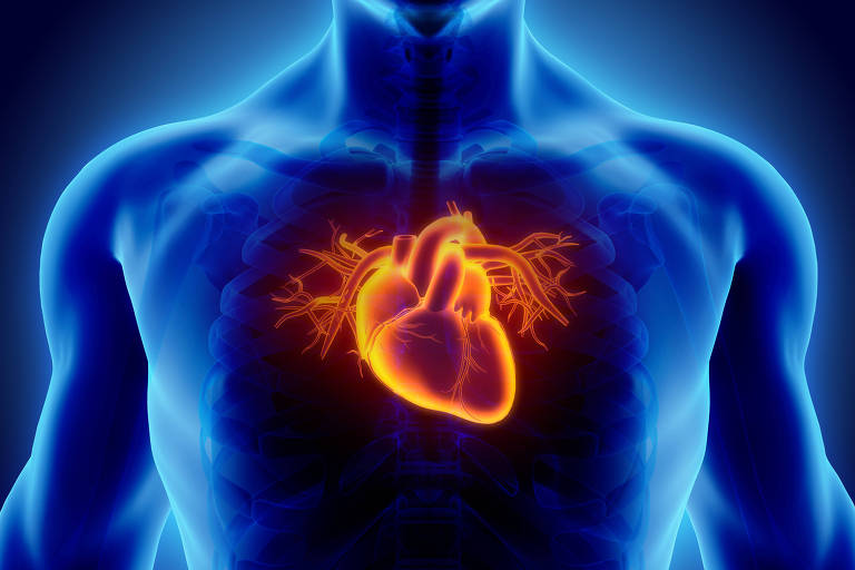 Ilustração 3D do coração 