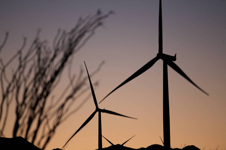 Movimento ambiental não sabe o que fazer com poder que conquistou