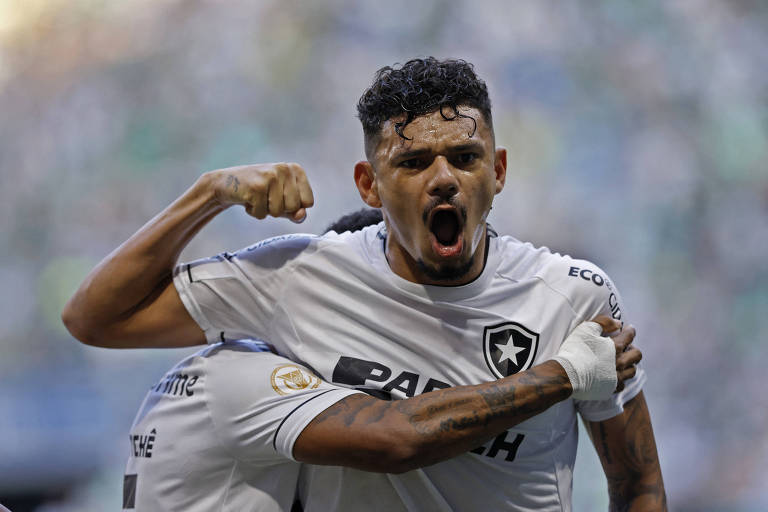 Tiquinho Soares tem sido o destaque do Botafogo no Campeonato Brasileiro