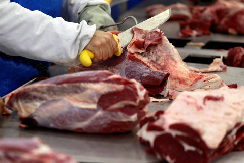 FILE PHOTO: Meat picture 7/10/2011 REUTERS/Paulo Whitaker//File Photo ORG XMIT: FW1