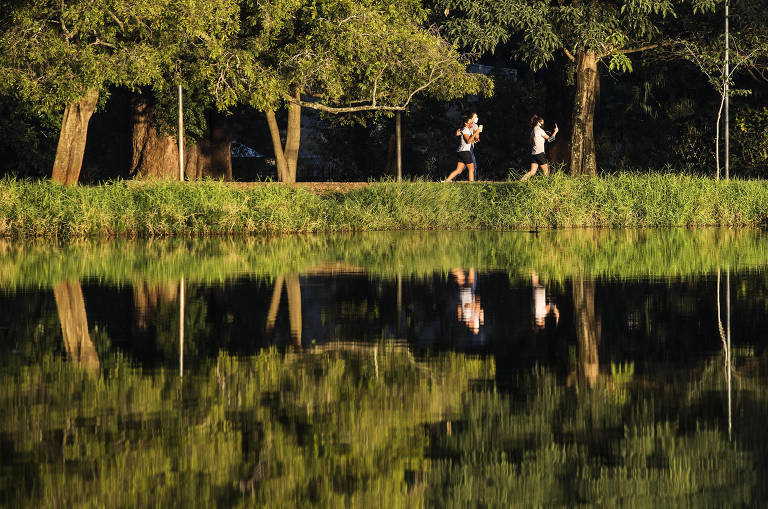 Como transformar sua caminhada em um treino completo