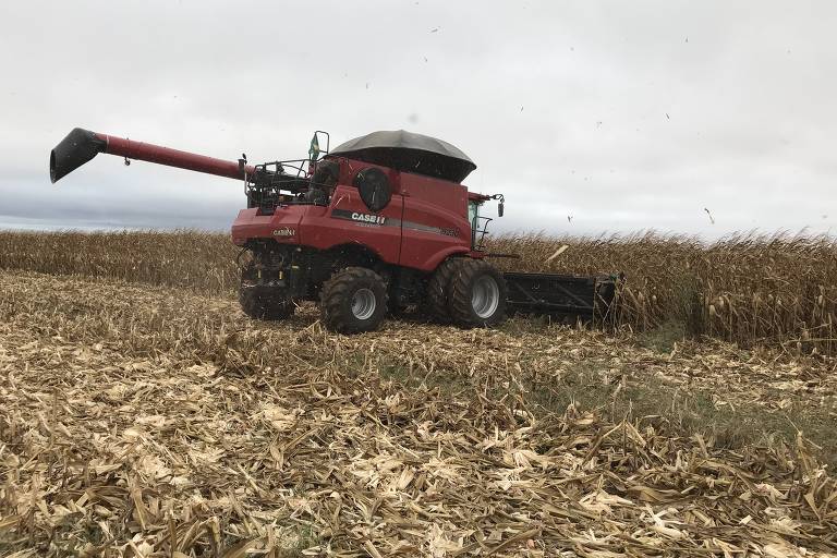 Mato Grosso volta à liderança nacional na agropecuária após queda