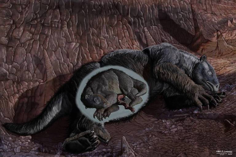 Reconstrução artística de uma preguiça da espécie Nothrotherium maquinense grávida com o feto preservado na barriga