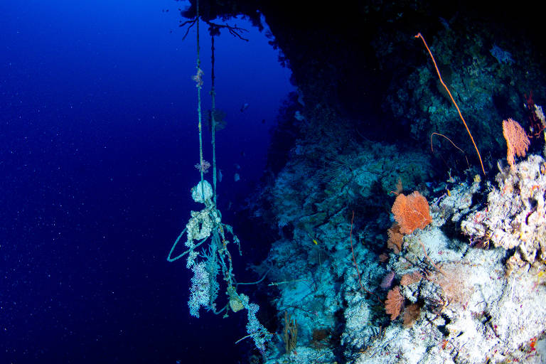 Fios de náilon (um tipo de plástico) encontrado em Palau, no oceano Pacífico