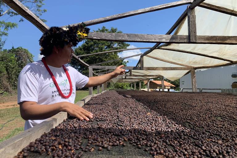 Empreender na Amazônia é tarefa urgente e necessária