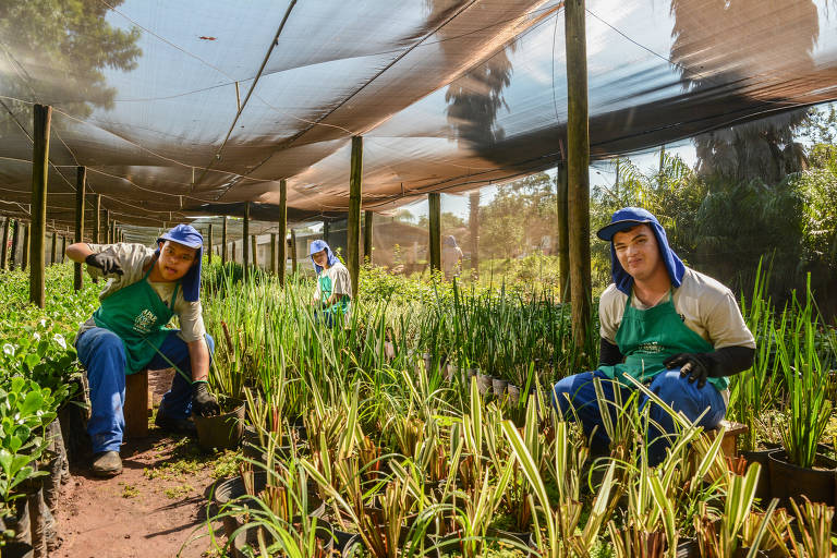 Pnad revela características do público com deficiência no Brasil