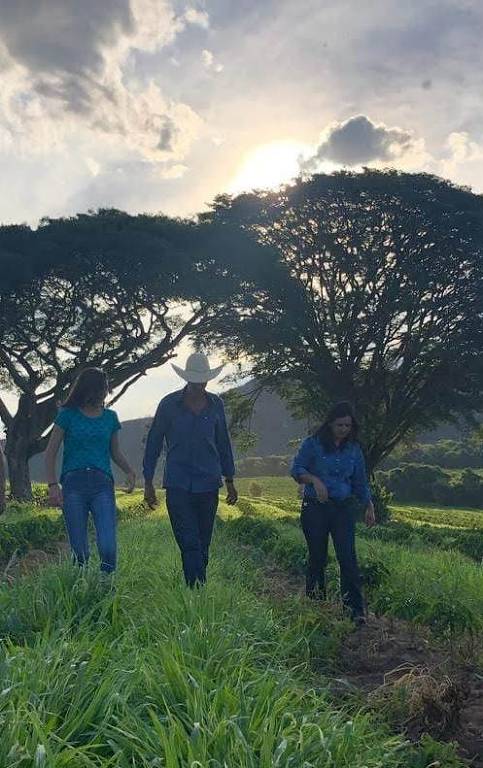 Produção de café no interior de Minas Gerais