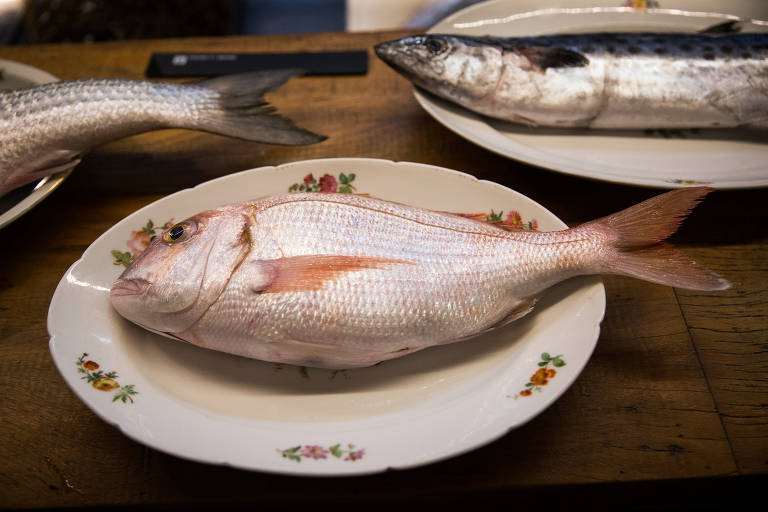 Entenda por que é tão difícil encontrar peixe fresco em restaurantes de São Paulo