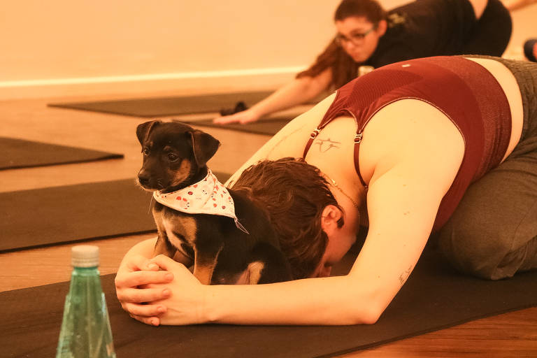 Puppy Yoga