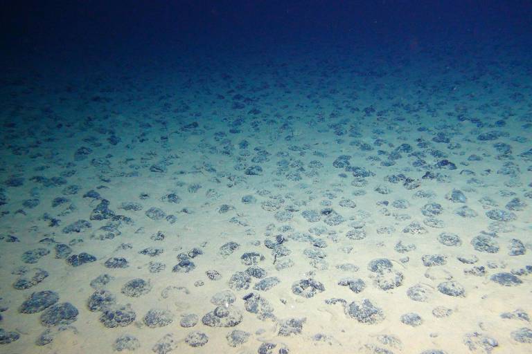 Imagem mostra o fundo do mar, em centenas de pequenas rochas escuras podem ser vistas em meio ao substrato marinho