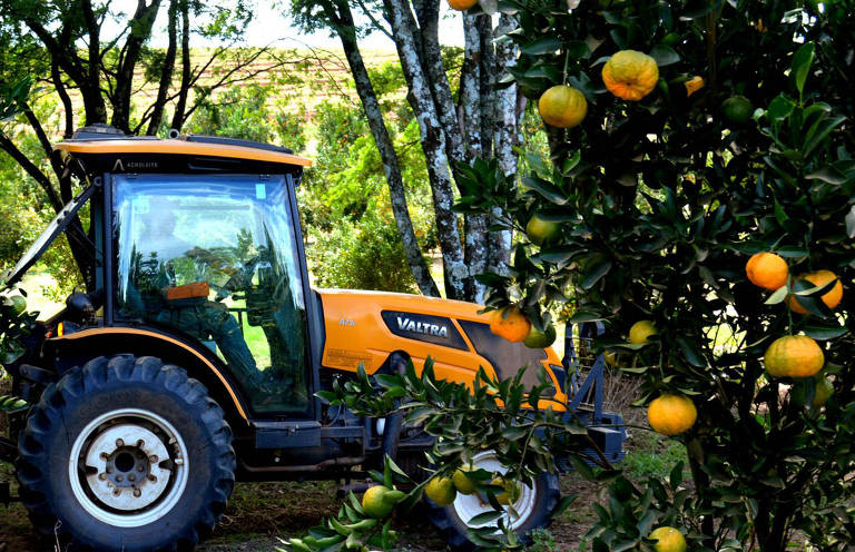 Preço do suco de laranja sobe e afeta indústria de 'soft drinks'