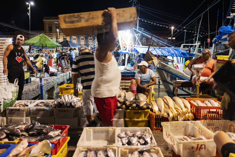 Homem carrega caixa de madeira na cabeça em meio a caixas com peixes expostos